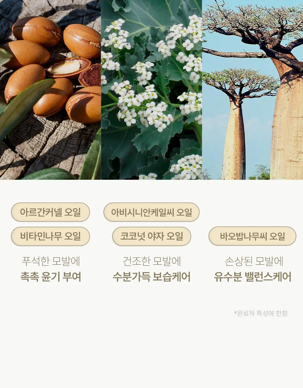 [문장군공동개발]그라펜 원스텝 매트 왁스 70g 상세페이지 16